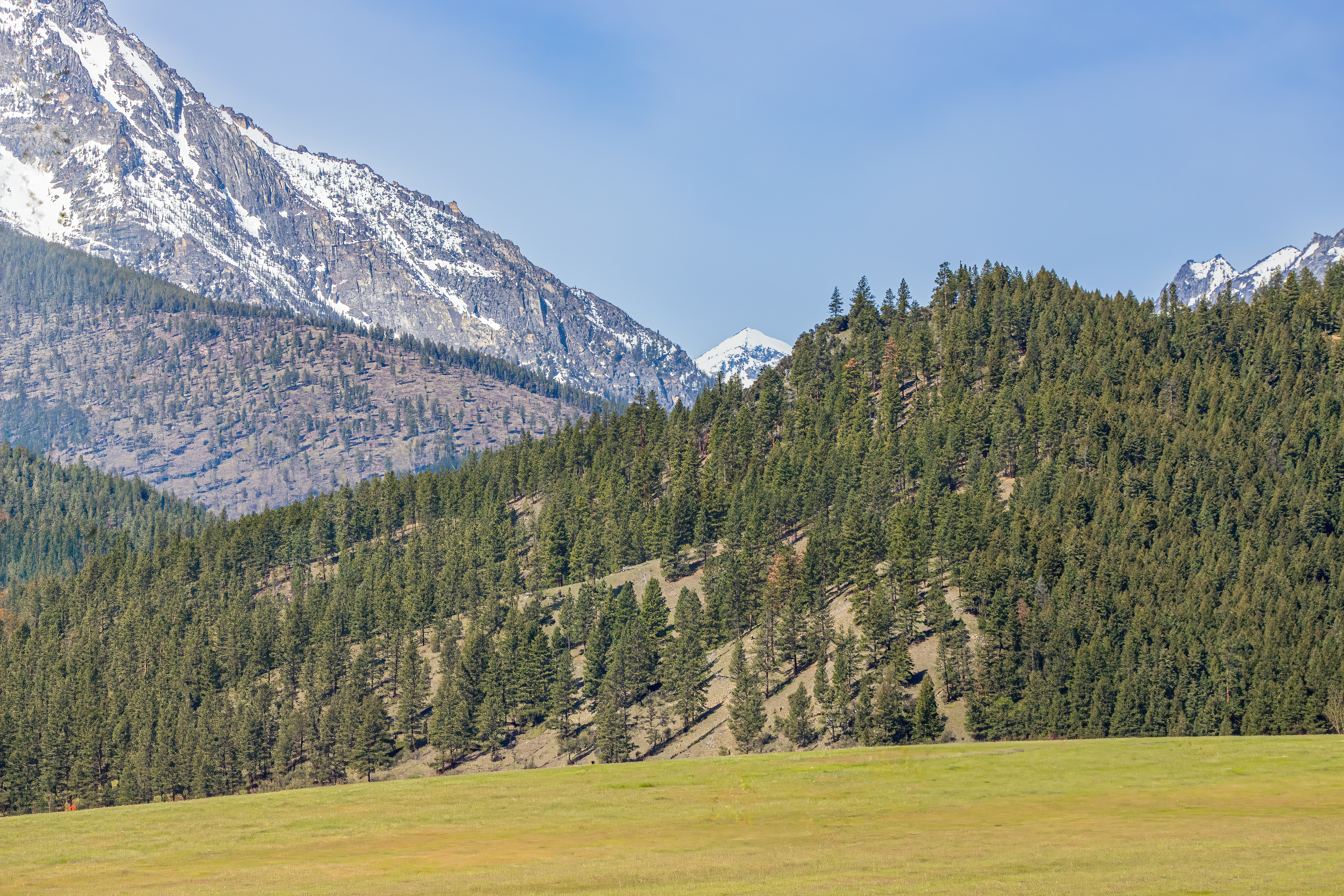 bitteroot mountain valley (1)