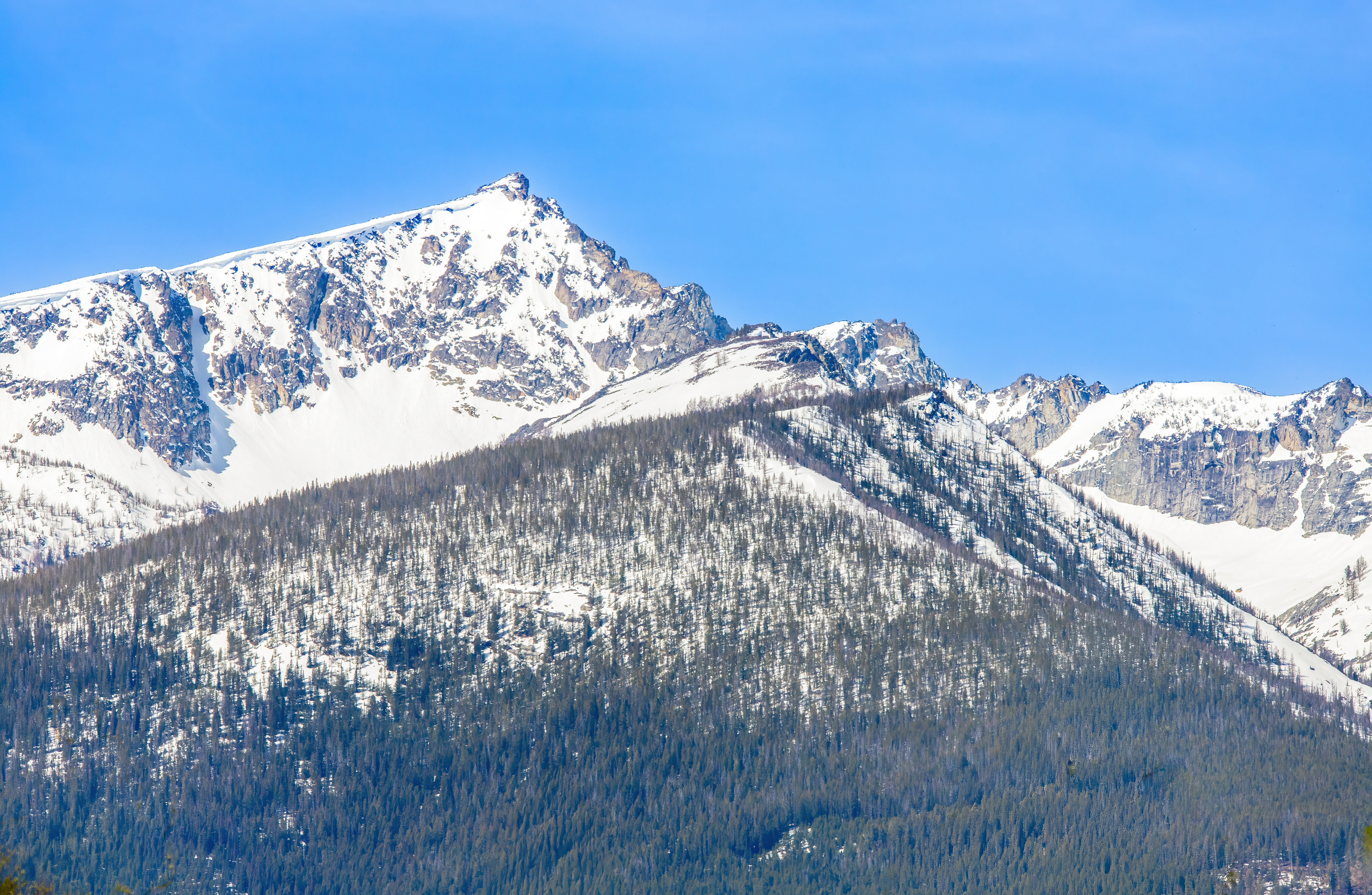 bitteroot mountain valley (2)