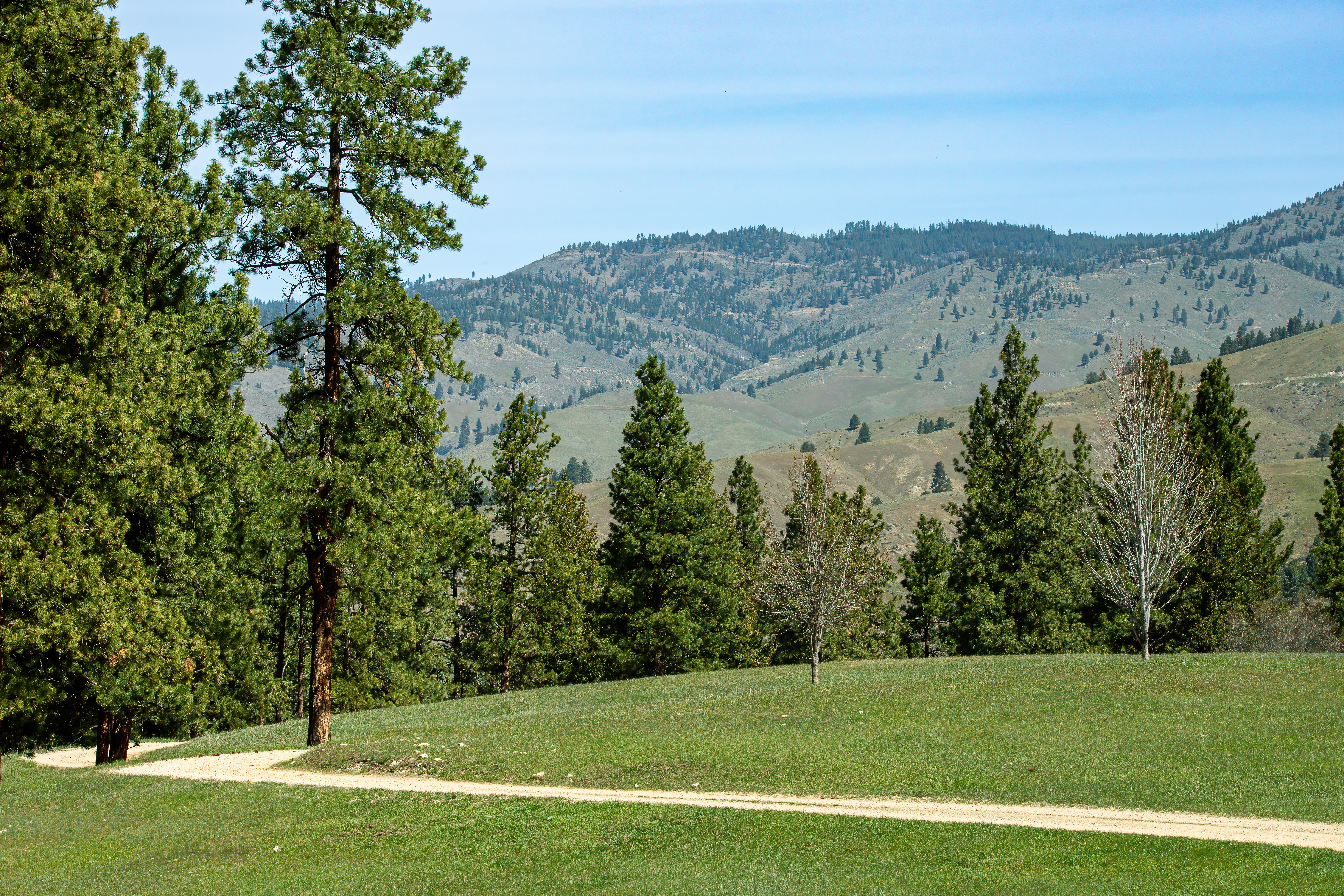 bitteroot mountain valley (4)