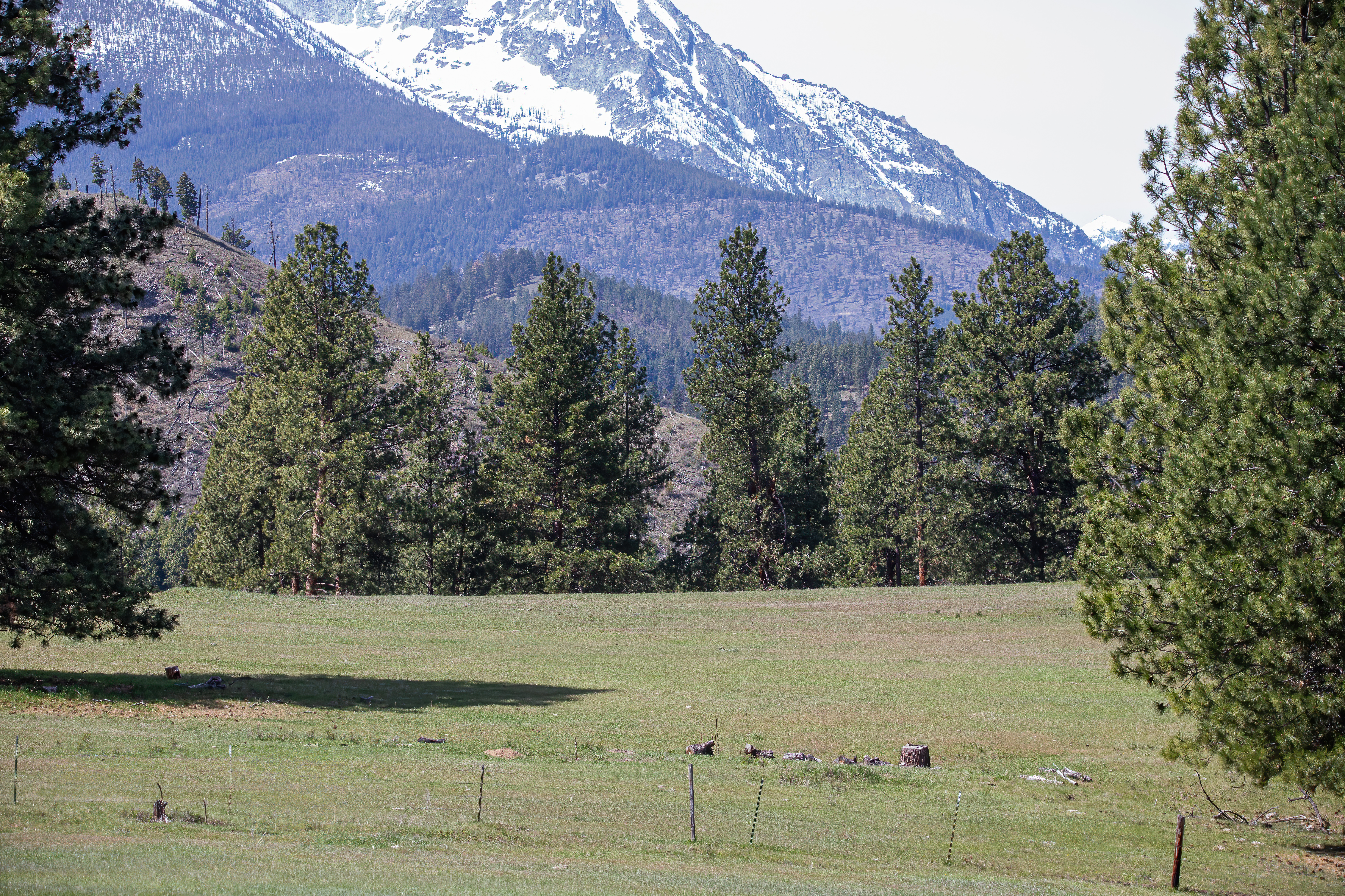 bitterroot mountain valley (6)