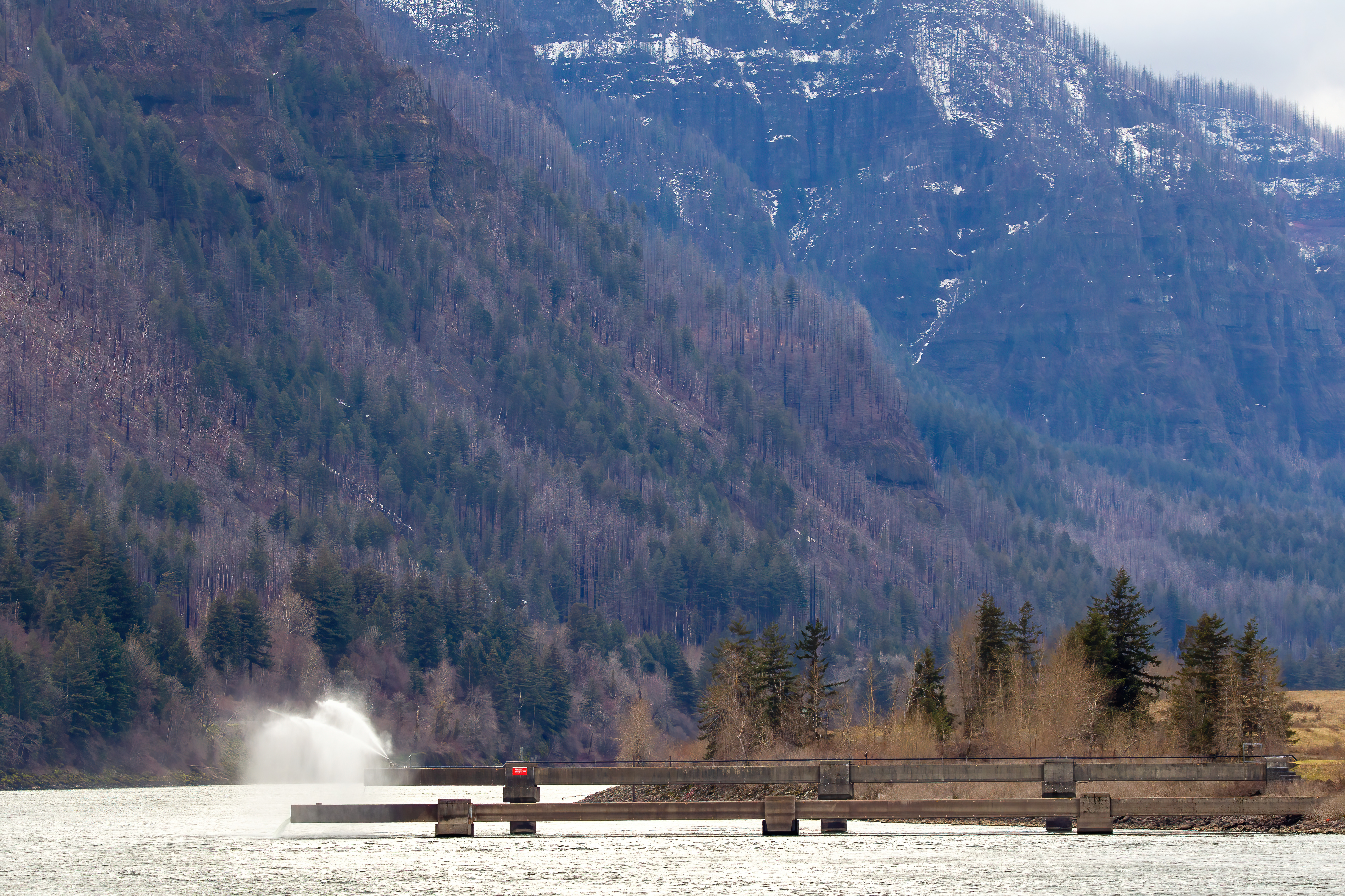 A view of a water control/fish passage system. The purpose of this is to help fish migrate and manage river flow around the dam.
