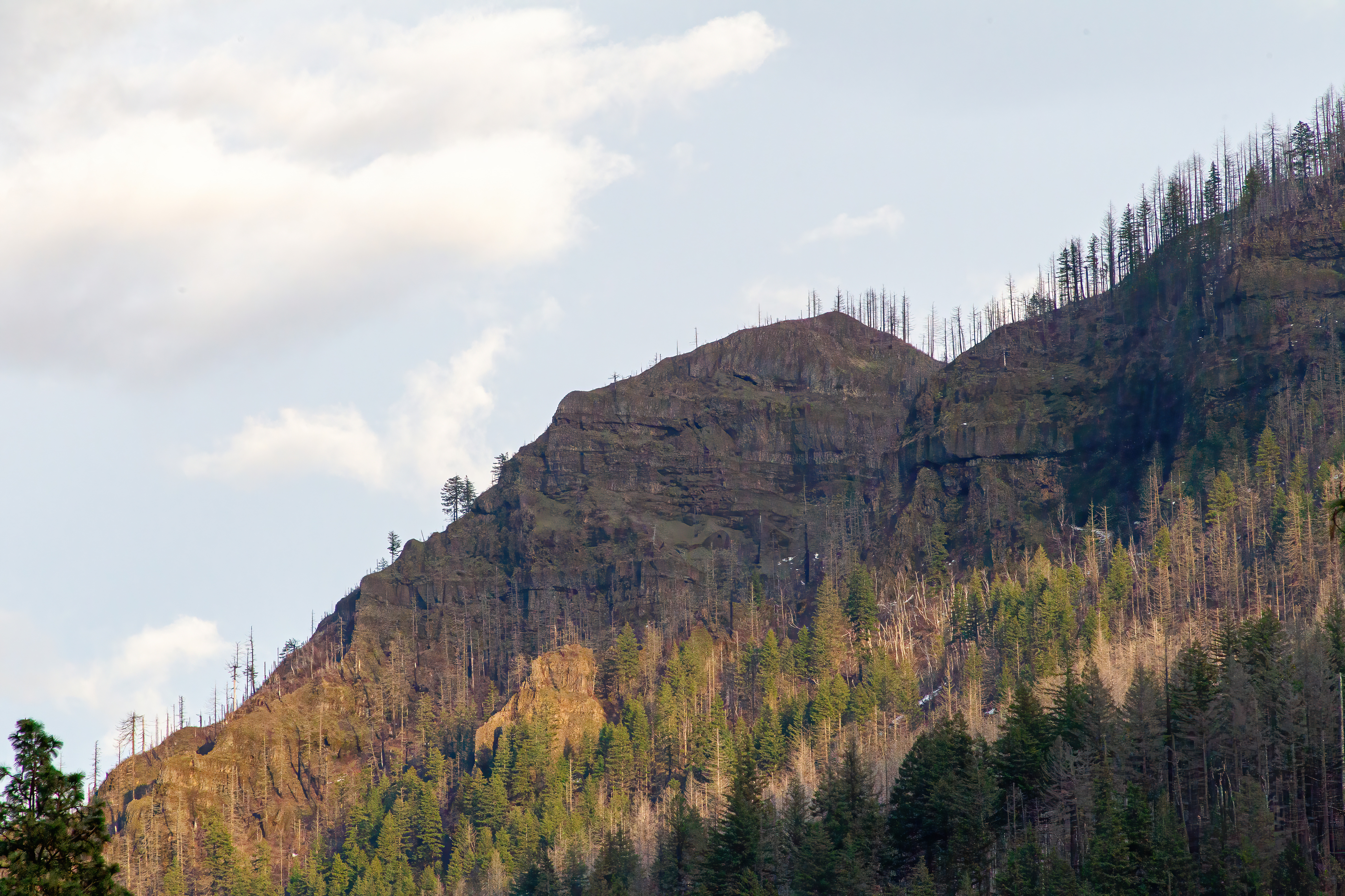 A mountain ridge that is part of the range of small mountains by the Bonneville Dam.