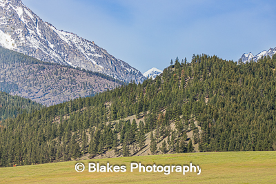bitteroot mountain valley (1)