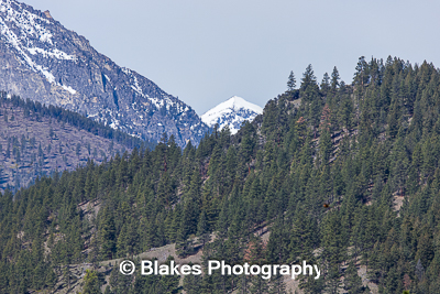 bitteroot mountain valley (3)