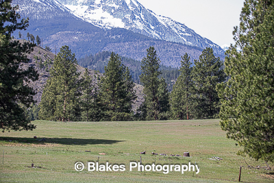 bitterroot mountain valley (6)