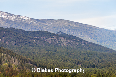 bitterroot mountain valley (7)