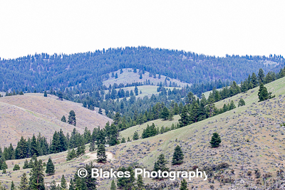 bitterroot mountain valley (10)