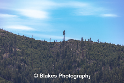 bitterroot mountain valley (15)