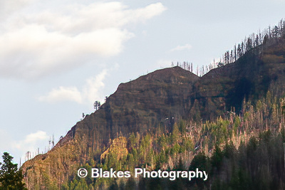 columbia river gorge (4)