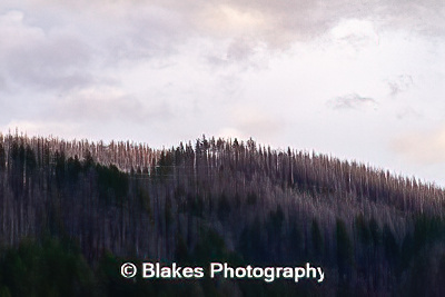 columbia river gorge (5)
